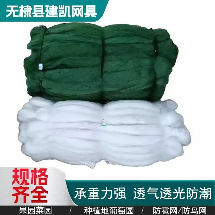 出口泰国缅甸 尼龙防鸟网 果树防护网厂家直销樱桃树果树防鸟网