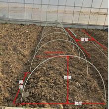 大棚内拱棚支架农用育苗棚养花拱竿骨架花架纤维棒帐篷小工种菜