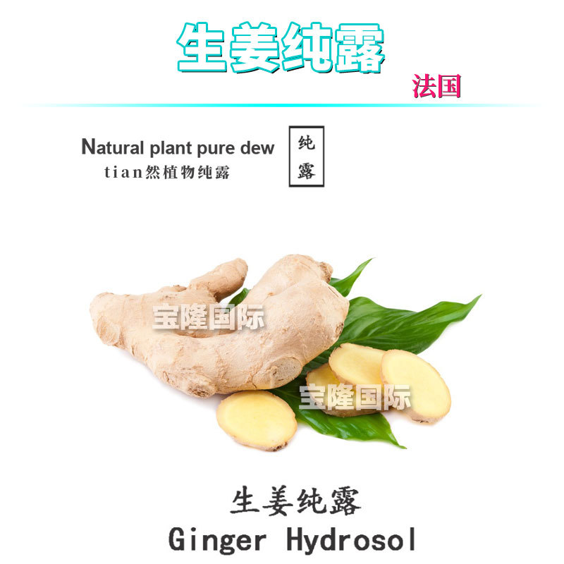 法国 生姜纯露 ginger 植物花水 护肤 化妆品原料 1kg