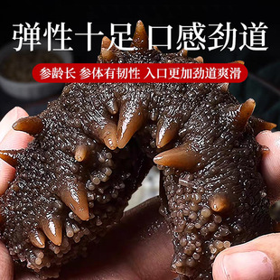 5�Ǽ���ʳ����1500g�Ǵ��B�|�̅���Ʒ�ٷ���Ş��3��������Y���b