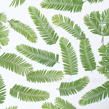 水杉叶片 树叶压花干花押花植物标本儿童手工贴画滴胶diy书签材料