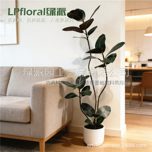 ���Q�羳��Ʒ؛Դ�ڽ�����Ƥ�����Gֲ�й��L�҃�ܛ�b�b[��