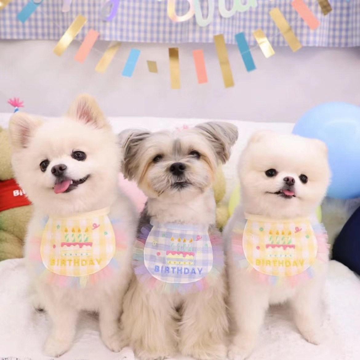 En stock ins nueva Corea del Sur lindo cumpleaños bordado perro babero mascota gato perro babero