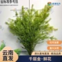 婚庆布置水养枝条鲜花