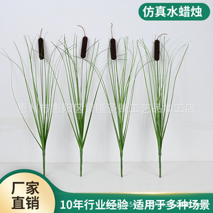 �羳������Ȕ�݆�֦���Ѳ����[��ˮϞ�T�Ƶ��̈��쾰�b���Gֲ