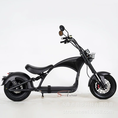 Elektrikli motosikletlər: Harley Electric Motorcycle for