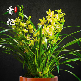 �����ͽ��m���F�m���ļ��m�_���M���h�����B�҃Ȼ���