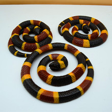 �¿������ط��汱�����������������з���ɺ����߼������z������