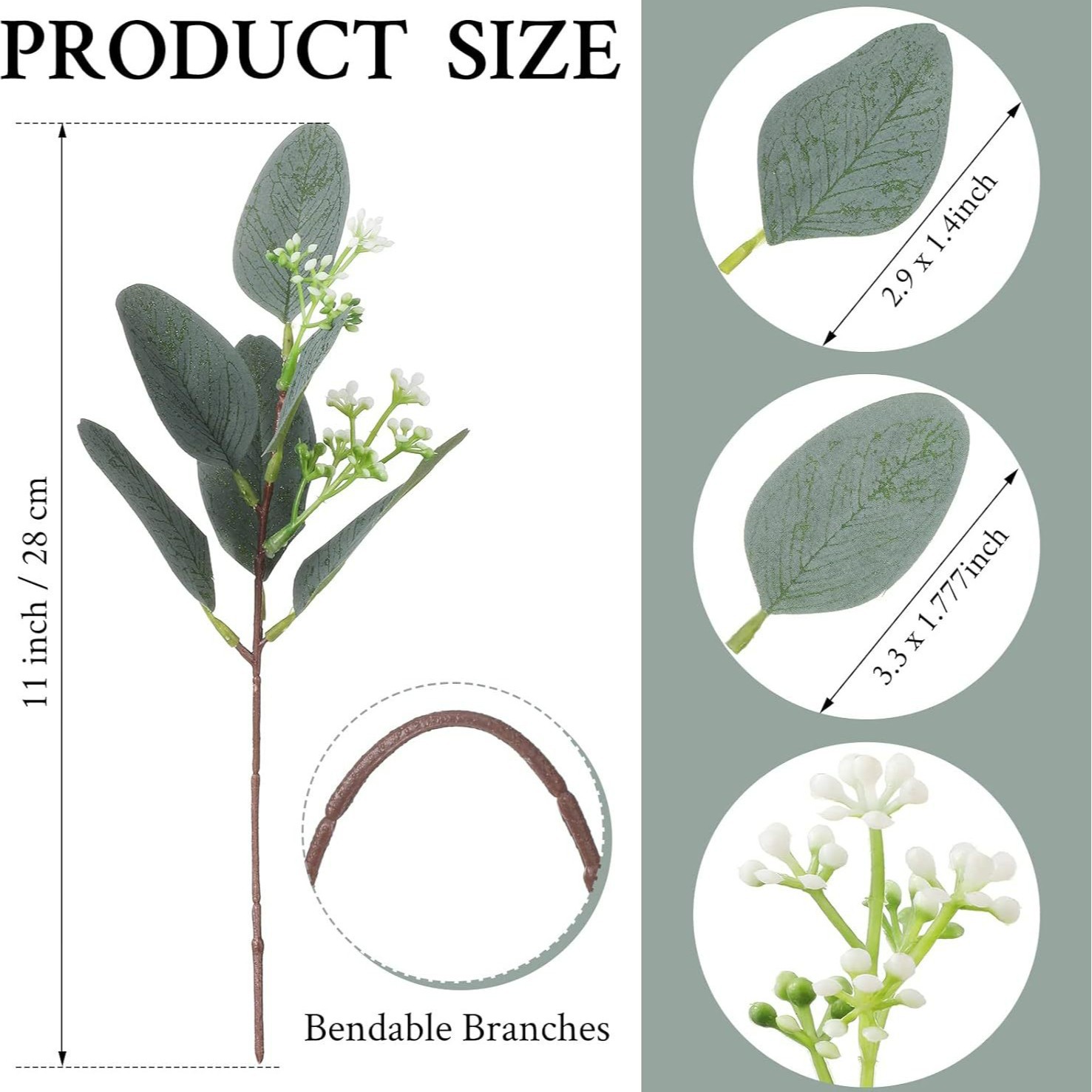 열매가 있는 뾰족한 잎 6개