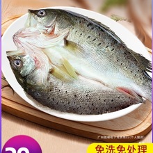 ���|�~�_�����r����r��������|�~���~�R�~ˮ�a���~���Ʒ����