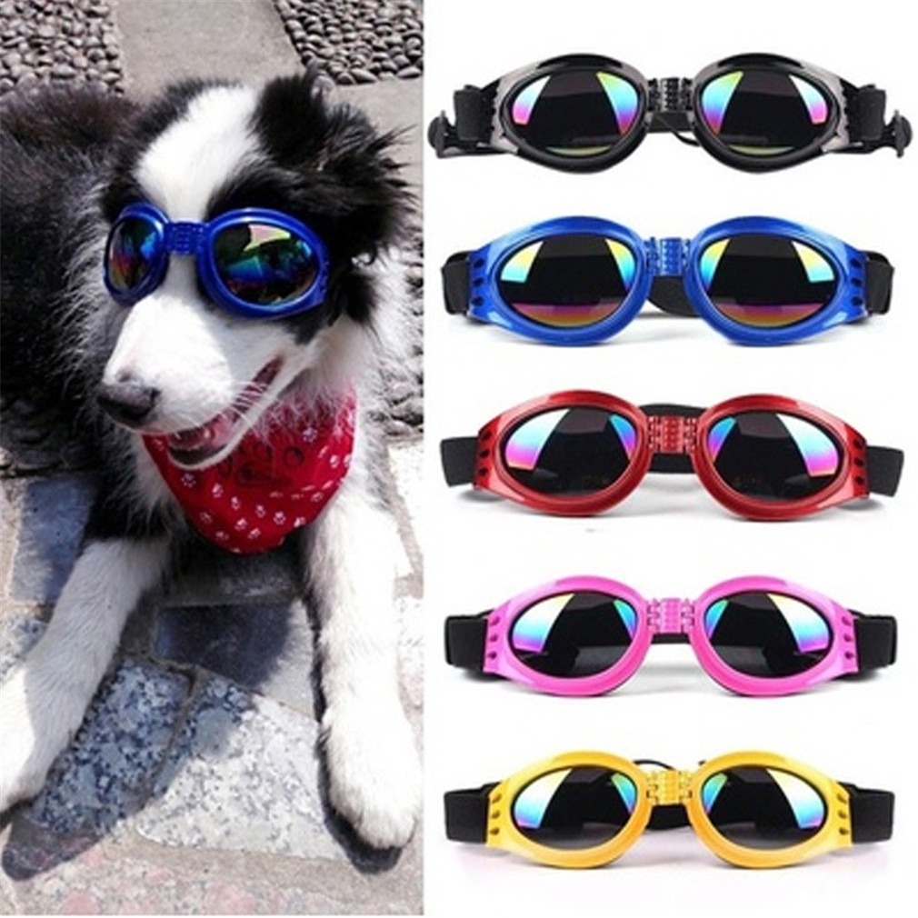 Simple Style Plastic Gradient Color Pet Accessories display picture 3