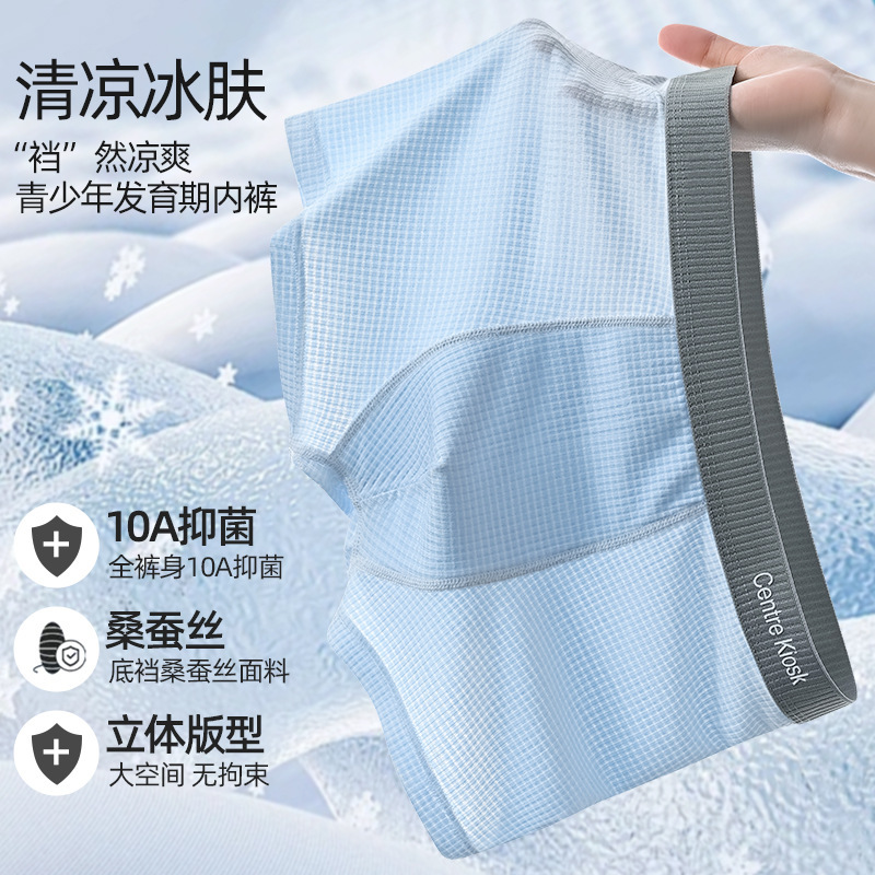 Teenage Underwear, Male Development Period Boxer Briefs, High School, Junior High School Students, Older Boys, Students, Breathable Antibacterial Ice Silk Shorts