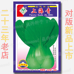 �Ϻ����uë�˷N�� �r��˵��S�a�߲�ԭ�S���b�ļ��̨�NֲС�Ͳ�