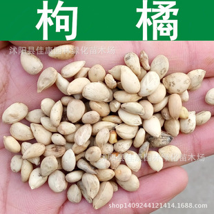 �۽۷N�� ���٘�N�� ���� �F�hկ ��� �ך��N�� 1��=1��