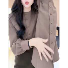 气质简约复古设计感衬衫女高级感轻奢减龄洋气上衣2026年秋季新款