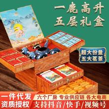 t۲~YbEütСҲ^L݅ͶYֱ