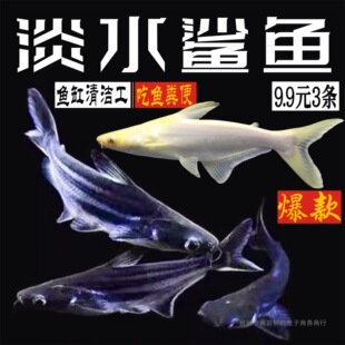 ��ˮ���~С�{���׻����{�����^�p�~�Ꭷ�~�y�����~�ײ����l����