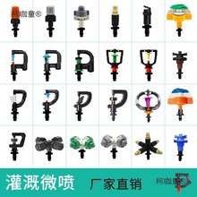 ΢���������^���D�@�ֹ���r���Ԅӝ�ˮ�����������F����̫��