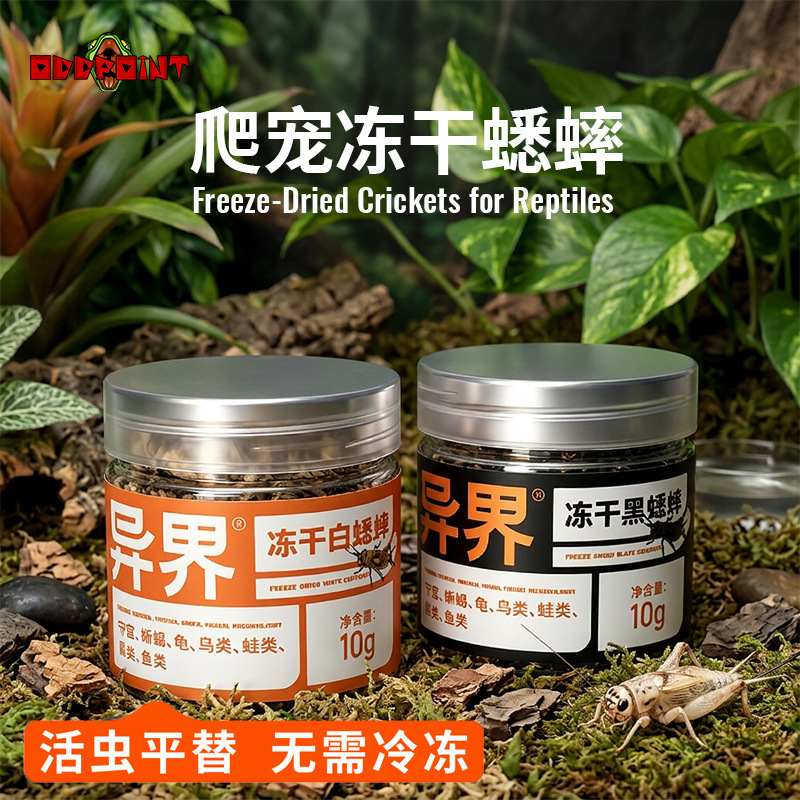 Freeze-dried non-living feed for reptile pets: crickets, geckos, bearded dragon lizards, horned frogs, white crickets, and other insect snacks Freeze-dried non-living feed for reptile pets: crickets, geckos, bearded dragon lizards, horned frogs, white crickets, and other insect snacks