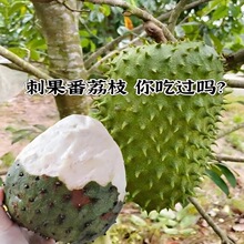 �̹�����֦�N�Ӽtë��ɏ��ȹ��N���ļ����N����N���̨ͥԺ����