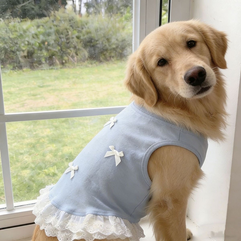 Lace-Trimmed Large Dog Clothes, Thin Labrador Golden Retriever Clothes, Breathable Dog Clothes, Cute