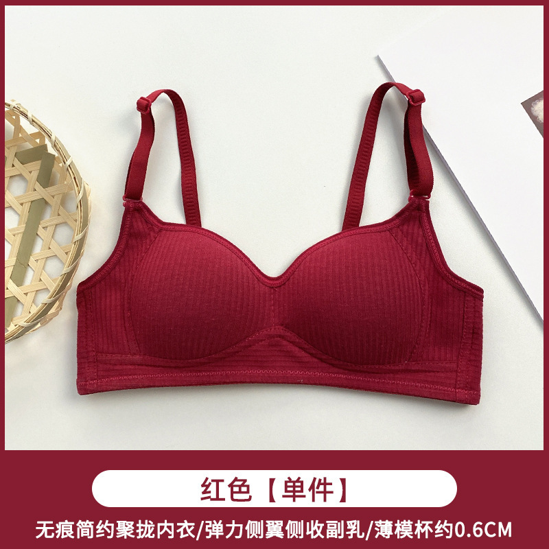 레드 (원피스 속옷)