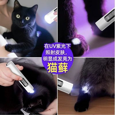 Purple Light Detection Lamp, UV fənərlər