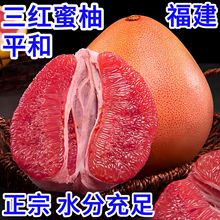 �������t����ƽ�ͬgϪ�t������40����t�ⱡƤ���rˮ�����l��֭