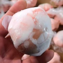 新鲜原油羊腰子羊肾烧烤食材冷冻红腰子家用商用清真内蒙古商用