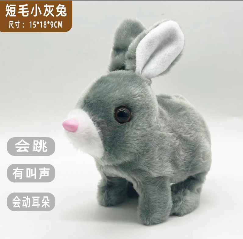 Conejo de pelo corto - Grey