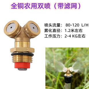 �S�ҹ����r���p�^���F�����m�����������ܽ���ˮ�F�r�Ç��F������