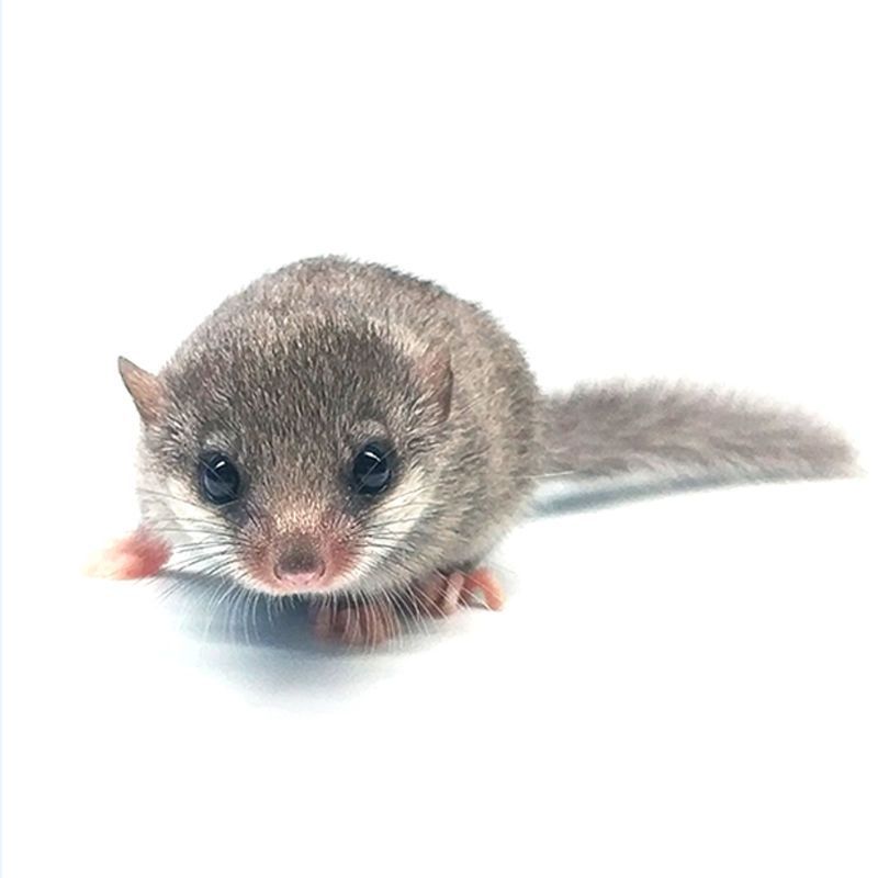 哈希娱乐- 哈希游戏平台- 哈希游戏官方网站赖清德赴桃园督导选战遭自家人“贴脸开大”赖尴尬佯装没听见