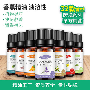 �羳���ͬF؛޹�²�õ�屡��10m��޹���̓H�����ھ�����޹����