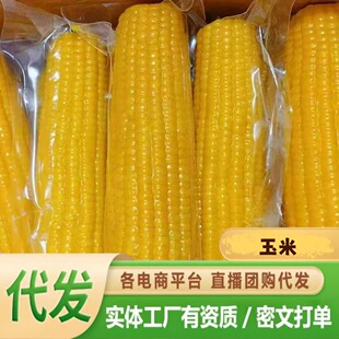 �|��Ŵ�����������r�S������Ŵ���װ���հ��b�S�Ŵ����