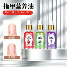 �羳����ֲ��ָ���� �ճ��̝����o���ױ�y�o���͉TĨָ�������l