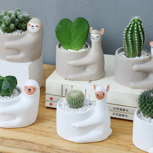 Cross-border gardening Amazon ceramic planter creative cartoon decorative piece succulent cactus small flower pot green plant decoration