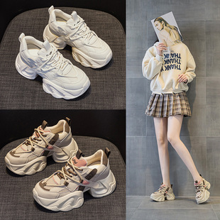 �ϵ�Ь2026�����¿��׃�����8cn����ͬ�����e�ٴ�r���Lϵ��Ů