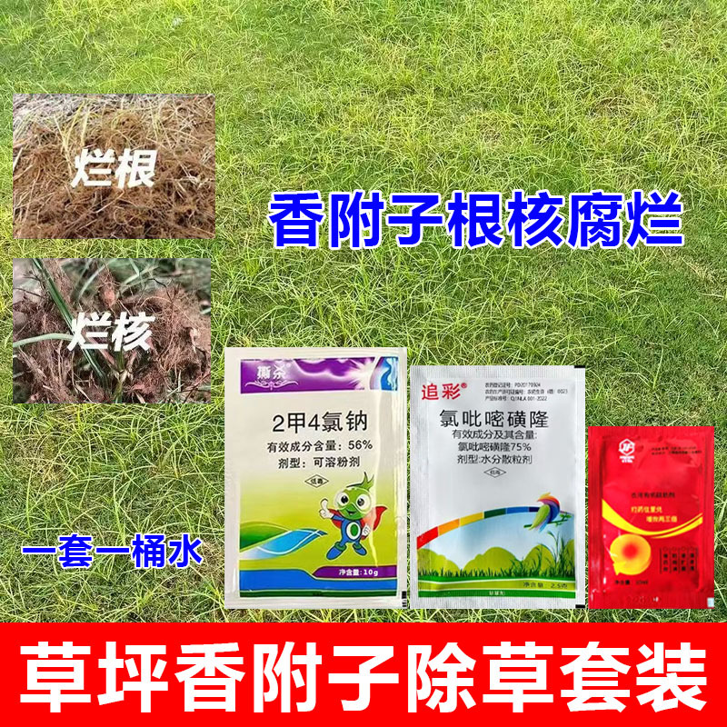 草坪除草剂草坪杀香附子烂根烂核马尼拉百慕大禾本科草坪杀香附子