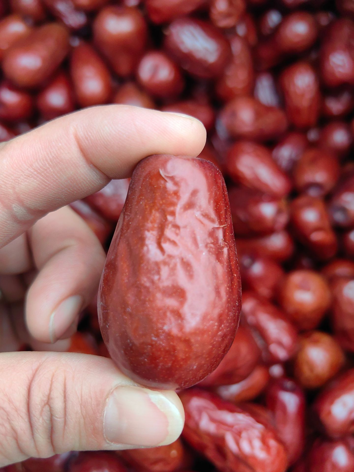 微信图片_20250405191454