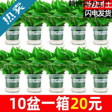 G}҃ȺBȩ՚ˮֲGֲԾGjl