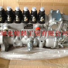 ���翵��˹6CTA8.3���ͷ�����ȼ�������5260266ȫ��Ʒ�ֻ���Ӧ