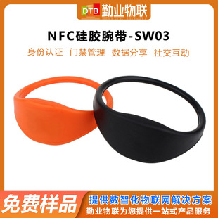 Dtb-Sw03 Water Park Rfid Ticket Bracelet Waterproof and Wear-Resistant Wristband Closed-Loop Silicone Wristband