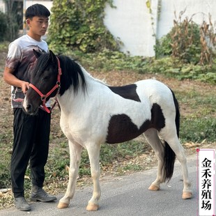 ����@�^�p�����R�����X �����T�˰��R���w�r�� ���÷��¹����