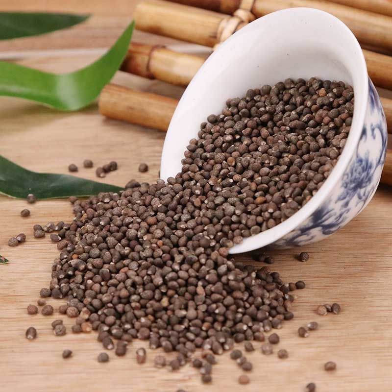 Perilla Seed Zi Su Zi 500g Dried Edible Seeds for Traditional Herbal Use specifications