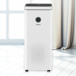 Yadu dehumidifier YD-CS202S negative ion purification household dehumidifier 20 liters/day dry clothes function