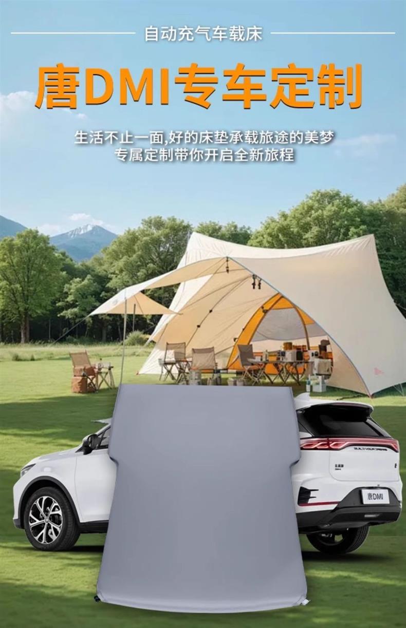 Byd Tang Car Mattress Dmi Special Mattress Seven-Seater Dm Free Inflatable Bed Rear Sleeping Pad Inflatable Air Bed