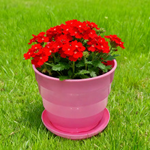 ���˄��������� �̨��֬����´əM�y�����������l���Ի���