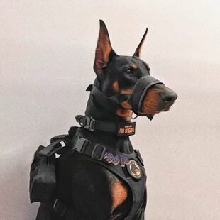 �_���{�������Ñ��g�ر����������_�д���ȮӖ���b������_�����K