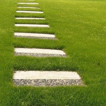 ���l��ƺ�N�Ӳ����o�¾G�������������ݸ���é�ļ��L������ݷN��