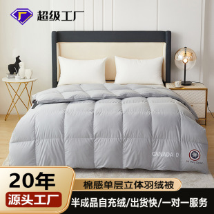 2024Ŵб޸ІΌwqƷԳqܶʽ